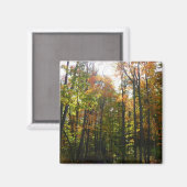 Aimant Paysage d'automne de forêt ensoleillée (Recto/Verso)