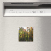 Aimant Paysage d'automne de forêt ensoleillée (In Situ (Lave-vaisselle))