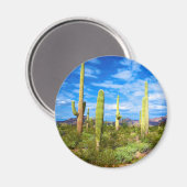Aimant Paysage de cactus du désert, Arizona (Recto/Verso)