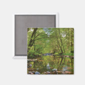 Aimant Paysage de la rivière Wilson (Recto/Verso)