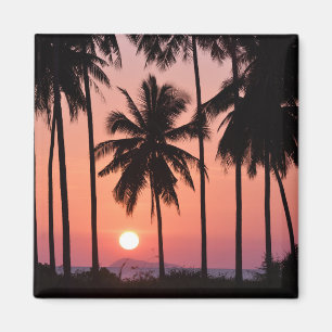 Aimant Paysage de palmier de noix de coco