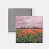 Aimant Paysage des Tulipes rouges (Recto/Verso)