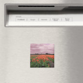 Aimant Paysage des Tulipes rouges (In Situ (Lave-vaisselle))