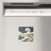 Aimant paysage d'hiver (In Situ (Lave-vaisselle))