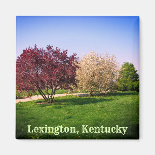Aimant Paysage et arbres magnifiques du Kentucky