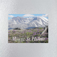 Paysage Fleur sauvage du Mont St Helens