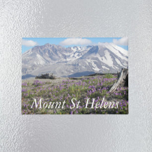 Aimant Paysage Fleur sauvage du Mont St Helens