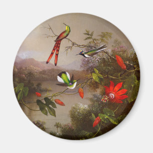 Aimant Paysage tropical avec dix colibris
