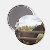 AIMANT PAYSAGES DE PAYS (Recto/Verso)