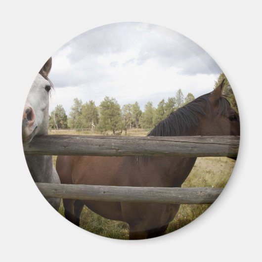 AIMANT PAYSAGES DE PAYS (Devant)