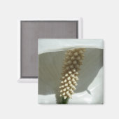 Aimant Peace Lily Élégante Flore Blanche (Recto/Verso)