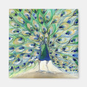 Aimant Peacock à San Diego 2 2013 (Devant)