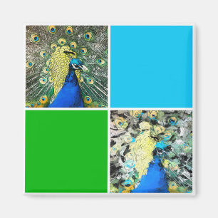 Aimant Peacock Art