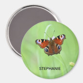 Aimant Peacock Butterfly (Recto/Verso)
