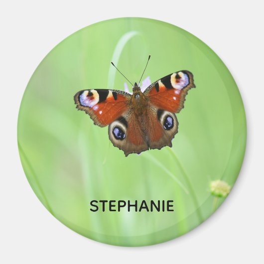 Aimant Peacock Butterfly (Devant)