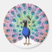 Aimant Peacock coloré (Devant)