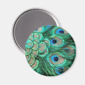AIMANT PEACOCK FEATHERS (Recto/Verso)