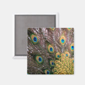 Aimant Peacock Feathers Emerald Green et Gold (Recto/Verso)