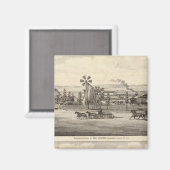 Aimant Peacock res, Willow Glen (Recto/Verso)