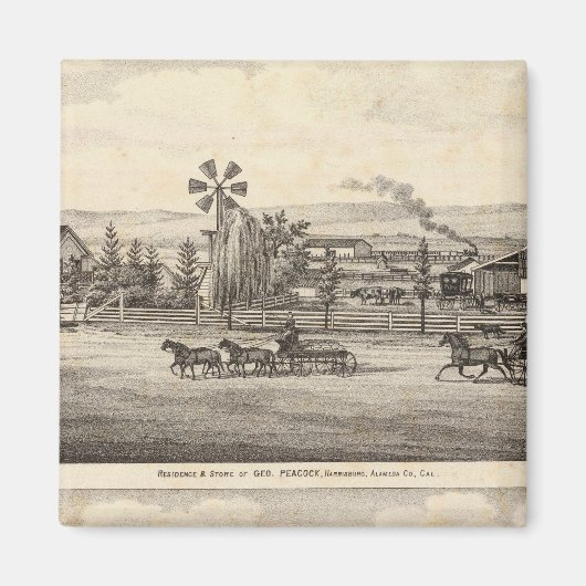 Aimant Peacock res, Willow Glen (Devant)