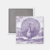 Aimant Peacock, une gravure vintage (Recto/Verso)