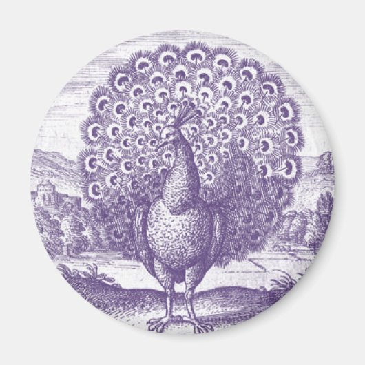 Aimant Peacock, une gravure vintage (Devant)