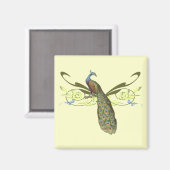 Aimant Peacock vintage (Recto/Verso)