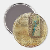 Aimant Peacock vintage (Recto/Verso)