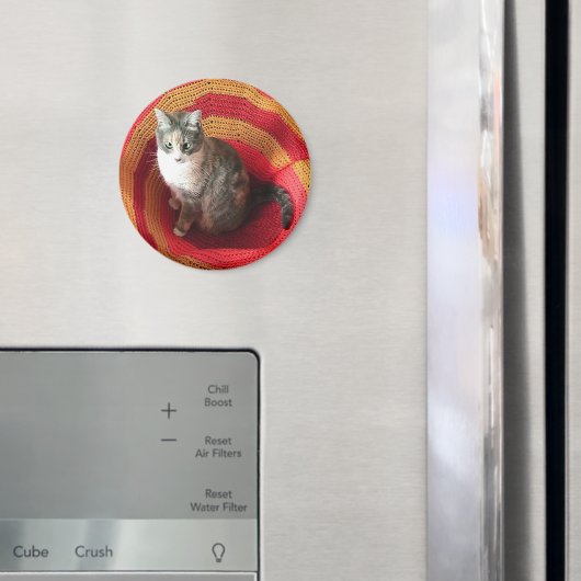 Aimant Pearl Cat sur l'Afghanistan (In situ (réfrigérateur))