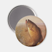 Aimant Pêche à l'ancienne, Achigan à petite bouche bondis (Recto/Verso)