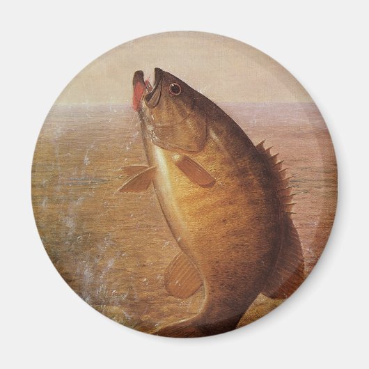 Aimant Pêche à l'ancienne, Achigan à petite bouche bondis (Devant)