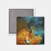 Aimant pêcheur (Recto/Verso)