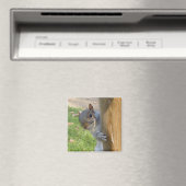Aimant Peek-a-Boo ! (In Situ (Lave-vaisselle))
