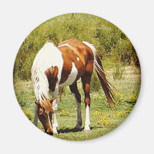 Aimant Peignez le cheval