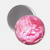 Aimant Peine rose éclos (Recto/Verso)