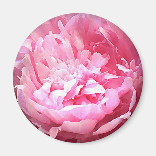Aimant Peine rose éclos (Devant)