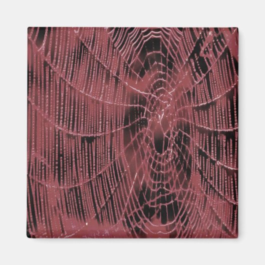 Aimant Peinture Abstraite D'Un Cobweb Magenta Rose (Devant)