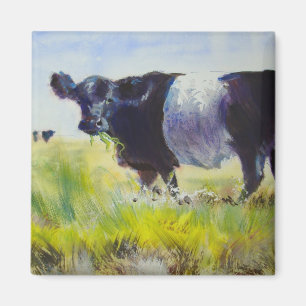 Aimant Peinture ceinturée de vache à Galloway