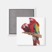 Aimant Peinture couleur rouge Macaw Aquarelle (Recto/Verso)