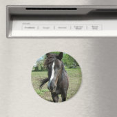 Aimant Peinture de cheval (In Situ (Lave-vaisselle))