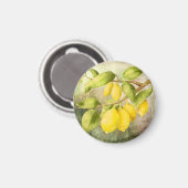 Aimant Peinture de citrons (Recto/Verso)