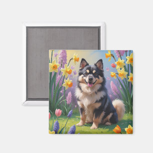 Aimant Peinture de fleurs printanières de chien de Laponi