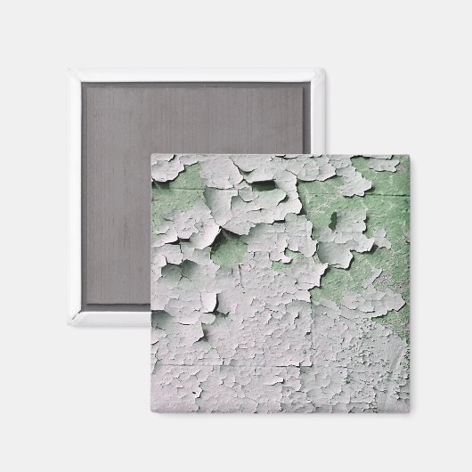 AIMANT PEINTURE DE PEELING ANCIENNE (Recto/Verso)