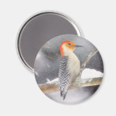 Aimant Peinture de pic à ventre rouge Art original (Recto/Verso)