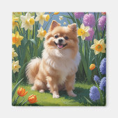 Aimant Peinture de printemps de chien de Poméranie (Devant)