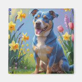 Aimant Peinture de printemps de Chien Heeler bleu (Devant)
