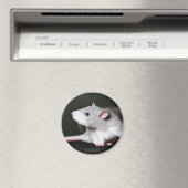 Aimant Peinture de rat (In Situ (Lave-vaisselle))