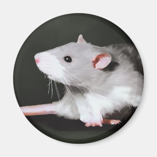 Aimant Peinture de rat mignon (Devant)
