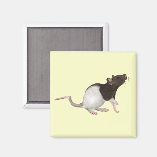 Aimant Peinture de rat pour animaux (Recto/Verso)