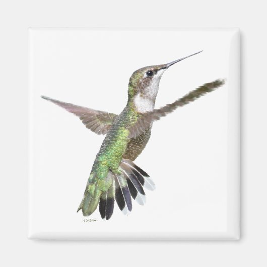 Aimant Peinture des colibris de Berylline (Devant)